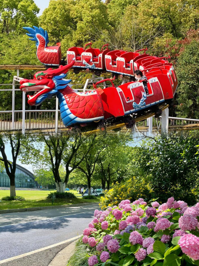 上海95%人不知道的寶藏公園捉蟹觀海