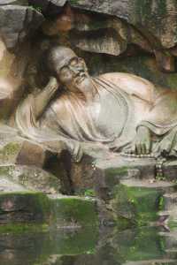 雨中上山探西湖茶園