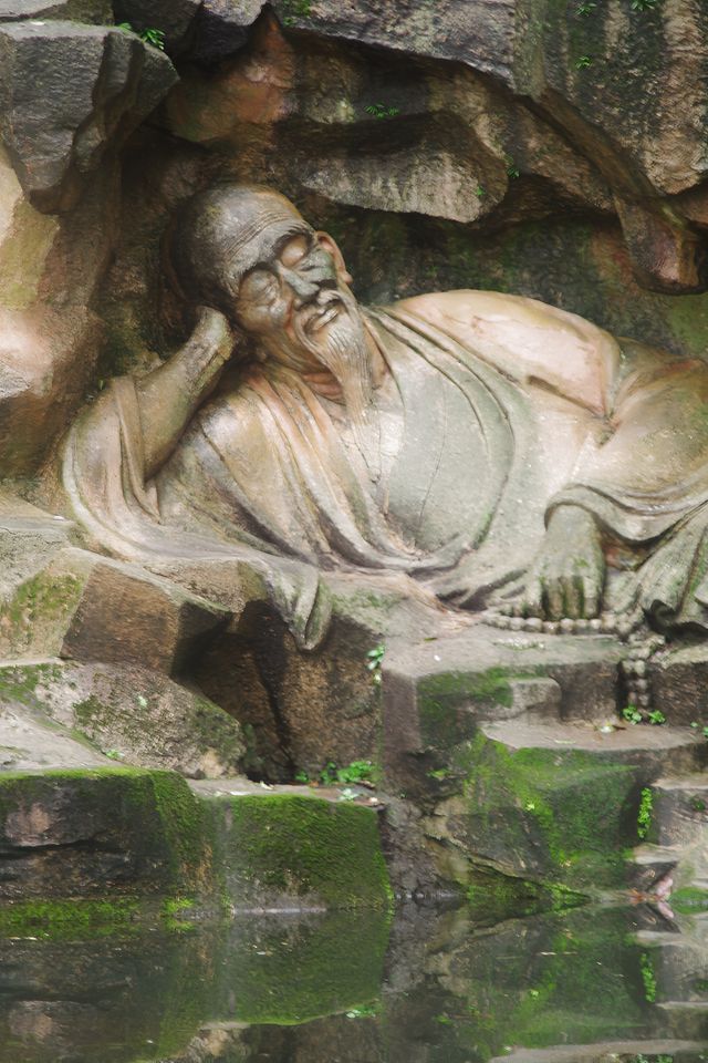 雨中上山探西湖茶園