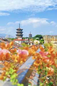 這間民宿的天台，我願稱之為泉州打卡勝地