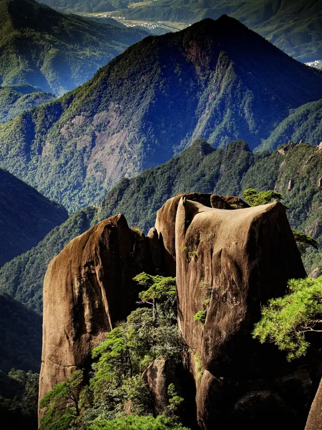 Wuyuan 4-Day Tour | Spring Flower Viewing in Full Bloom