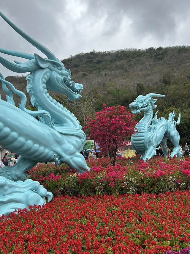 3 Days Itinerary in Tianya, Sanya 🇨🇳 