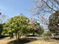 上海辰山植物園