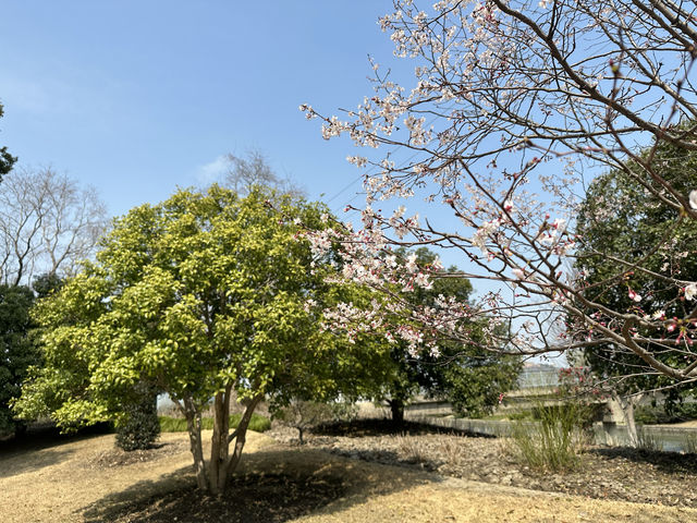 上海辰山植物園