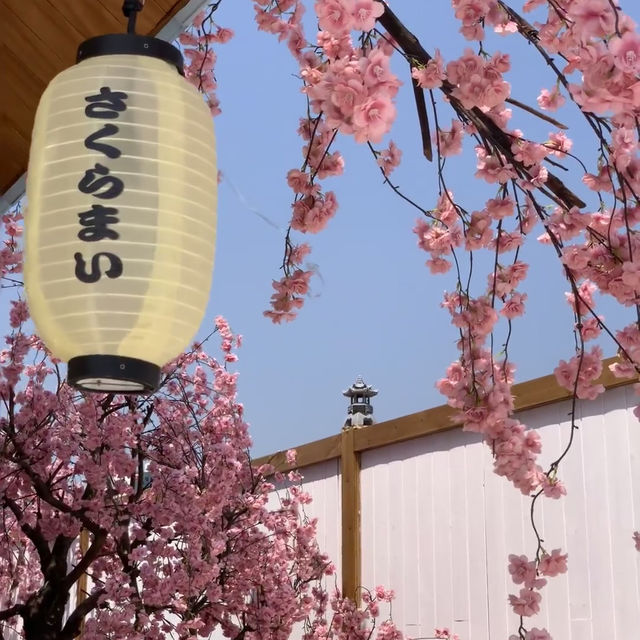 解鎖深圳新花海🎐上房揭瓦的粉色小京都🌸