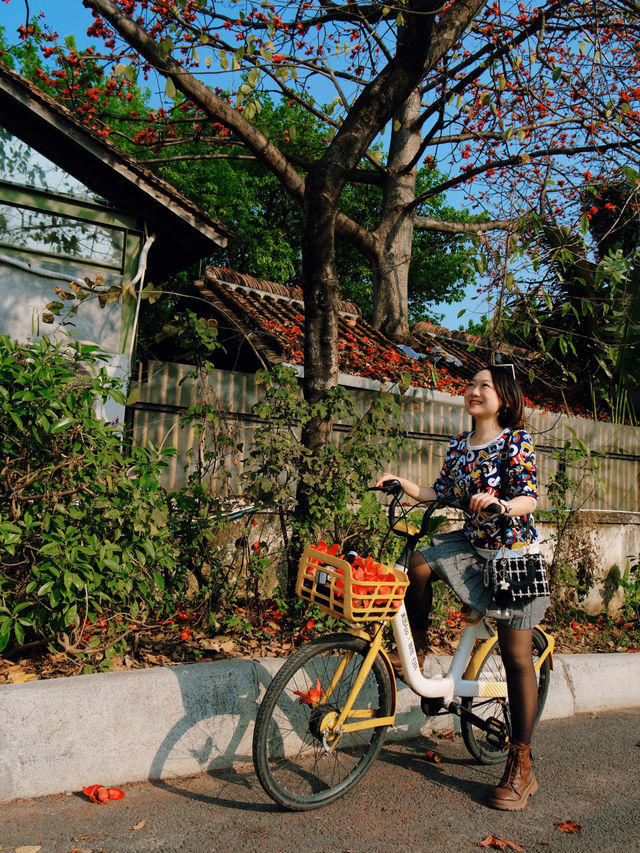 醉美木棉｜紅色蔓延到了廣州喜臨院