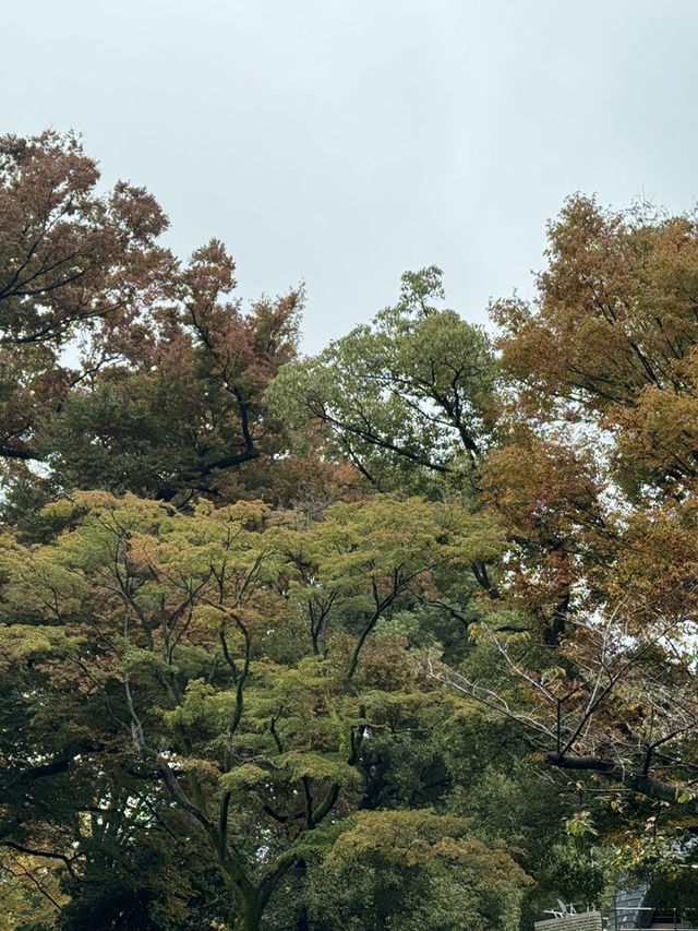 上野公園一日遊｜藝術與自然的完美交響曲🎨🌸
