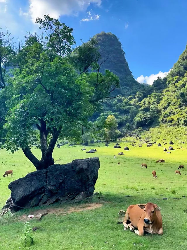 廣西~響水石林在不需要任何濾鏡的情況下依然美麗