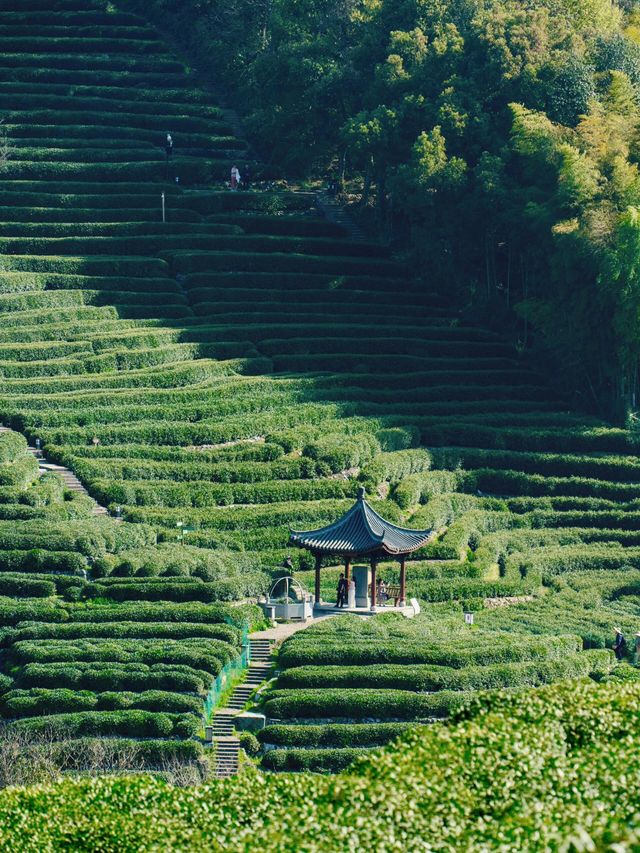 清明喺杭州行山嘅新發現！邂逅隱藏喺城市入面嘅綠野仙蹤