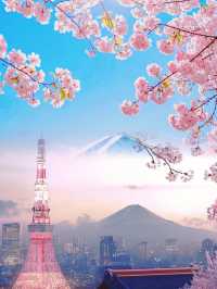 日本櫻花季 | 邂逅一座城的絕美浪漫