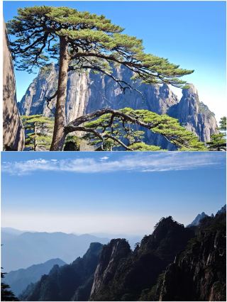 듣기 거북할 수도 있지만 이것이 황산의 현실입니다…