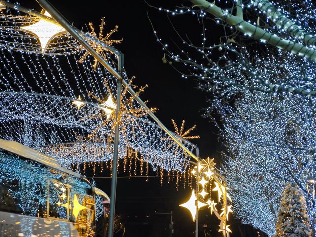 2月阿那亞深度旅行攻略｜冬日海邊烏托邦