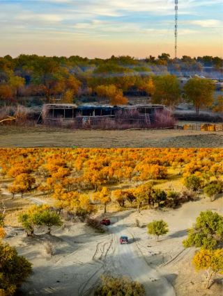 A Different Travel in Xinjiang | Jingjue Ancient City, Desert, and Starry Sky