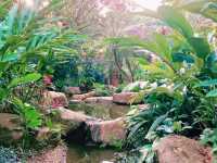 Pinghu Ecological Park: A Bustling City Green Paradise