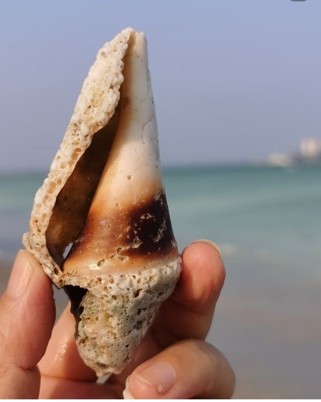 美哭了！瓊海私藏的牛奶海，堪稱夢幻天花板