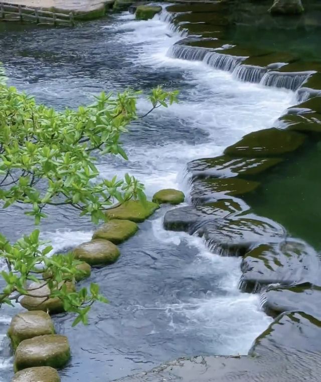 闖入黃果樹瀑布嘅夏日仙境！