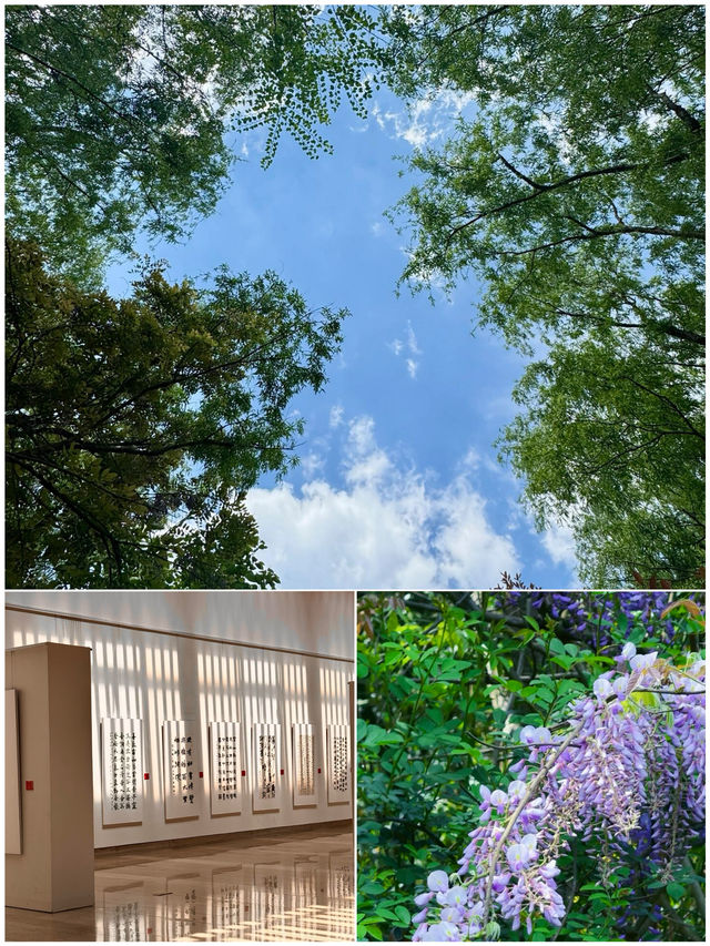 六盤水受罪已回，要去嘅姐妹慎重