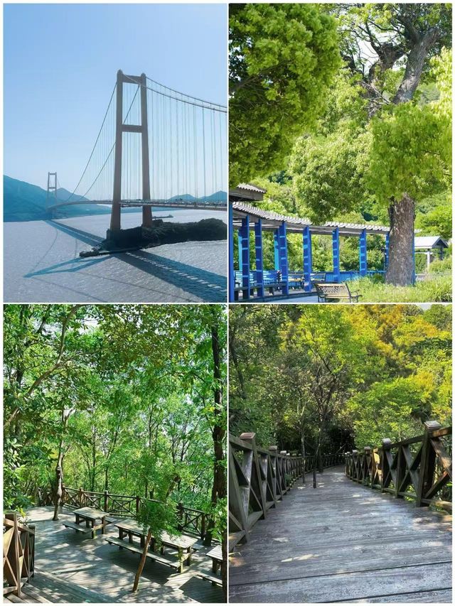 舟山受罪已回，要去嘅姐妹慎重