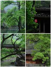 茶野秘境｜安化冷門暴擊天花板