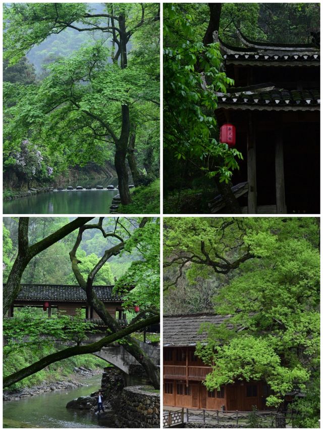 茶野秘境｜安化冷門暴擊天花板