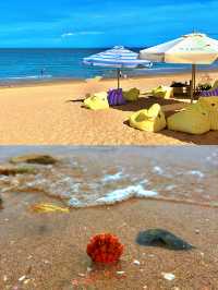 小石島趕海旅遊文案：赴一場與大海的浪漫奇遇