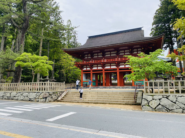 壇上伽藍的春日：在高野山相遇