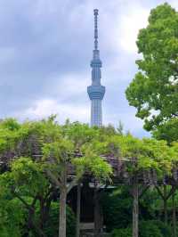 東京小众神社 | 龜戶天神社探秘