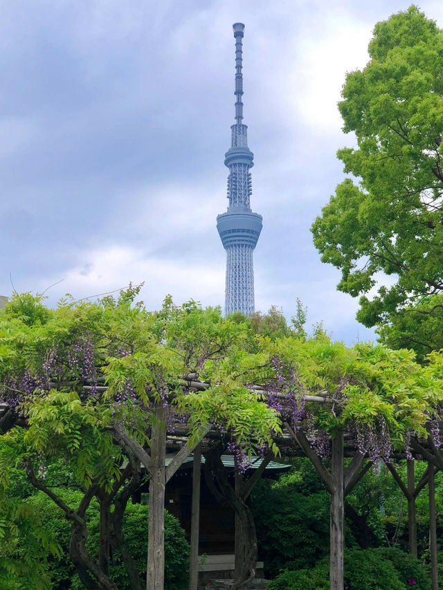 東京小众神社 | 龜戶天神社探秘