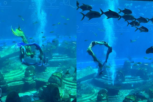 三亞亞特蘭蒂斯終極攻略：夢幻海洋之旅