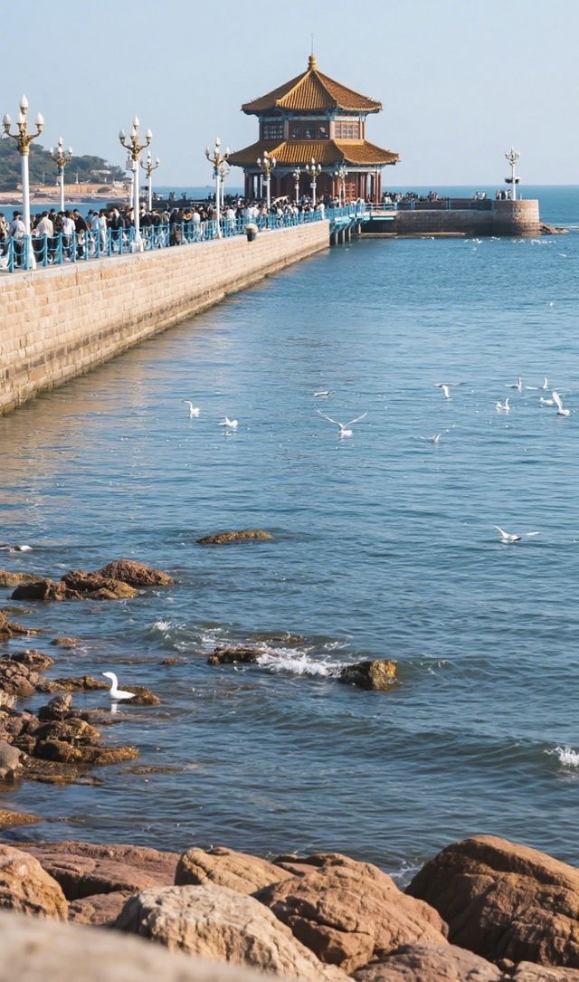 青島一日遊攻略🩷