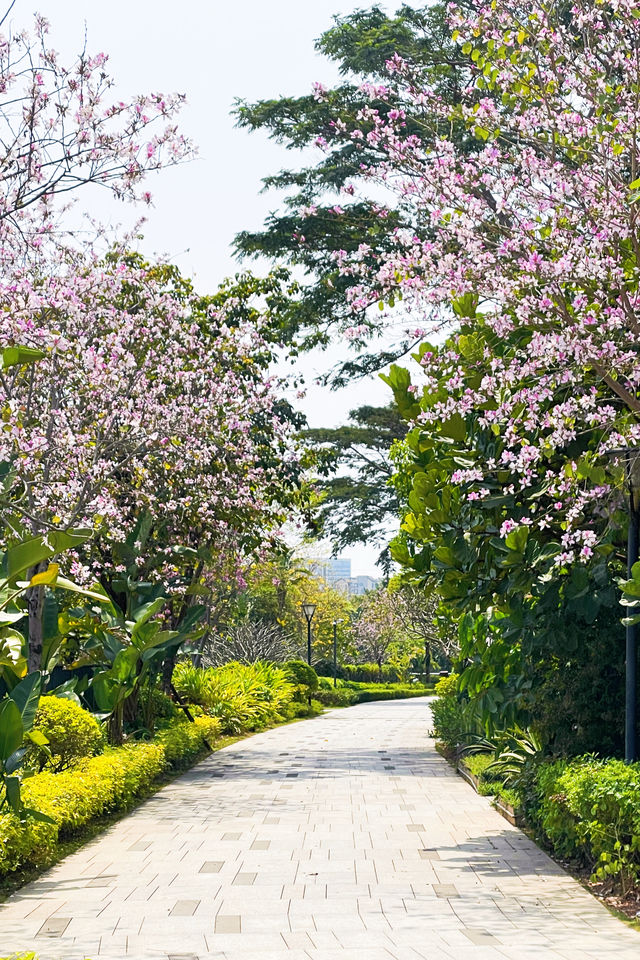 廈門寶藏住宿！住進自帶景點的度假天堂