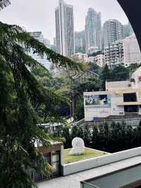🐾城央綠影，與你共行｜尼依格羅香港美利酒店
