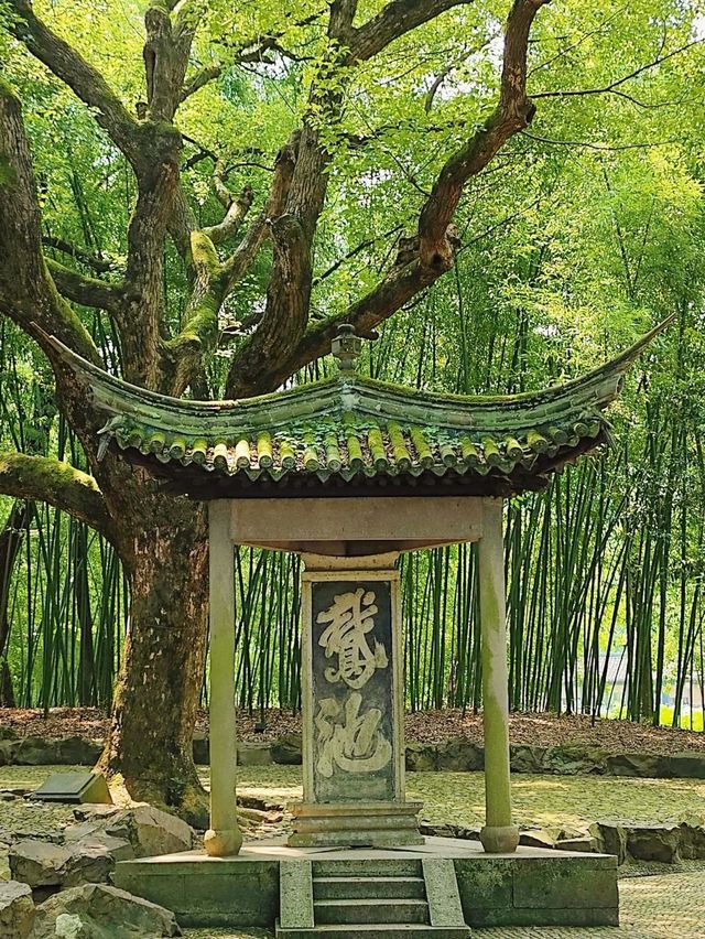 蘭亭之美：一場心靈的邂逅