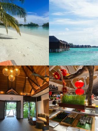 A stunning vacation experience at Full Moon Island!