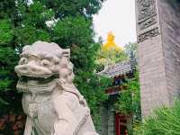 A Spiritual Retreat at Luohou Temple: A Guide to Staying at Wutai Mountain’s Sacred Lamaist Temple
