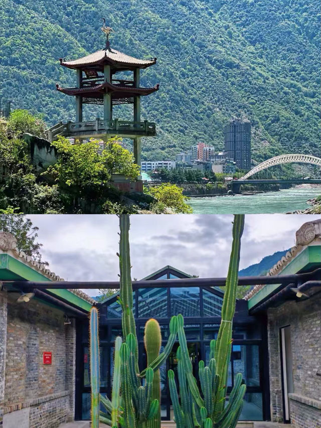 石棉歸來，我的建議係…