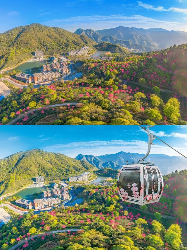 雲浮新翔順象窩酒店
