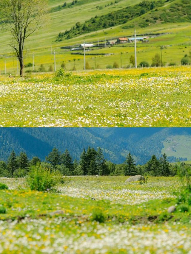 畢業旅行第一站：川西