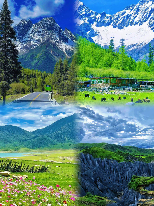 帶你去飛四姑娘山