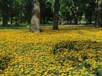 天壇公園的隱藏魅力