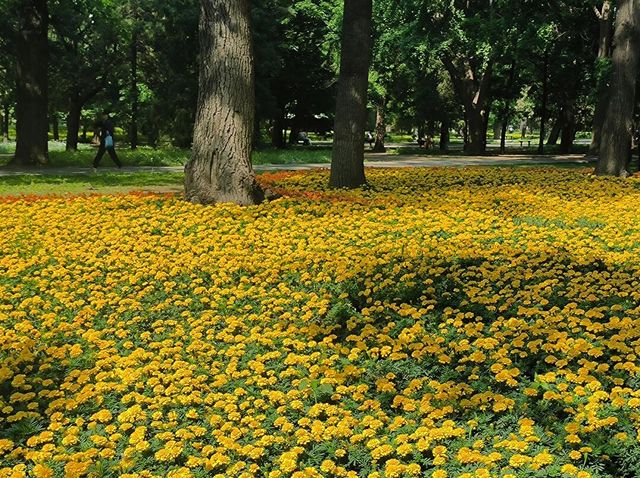 天壇公園的隱藏魅力