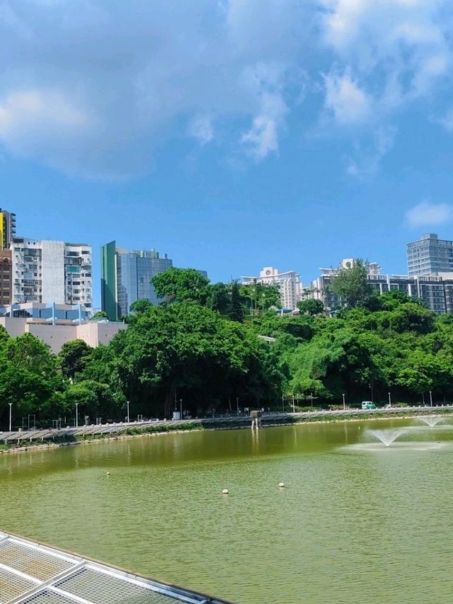 香港出發至澳門水塘公園交通攻略 
