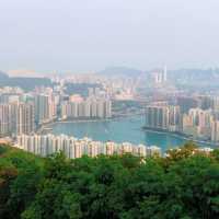 元荃古道石龍拱行山攻略 | 飽覽山海美景🌄