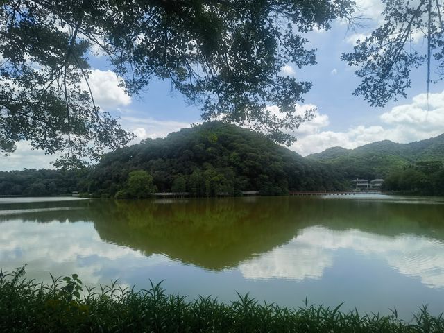 隱藏於白雲山麓嘅翡翠秘境