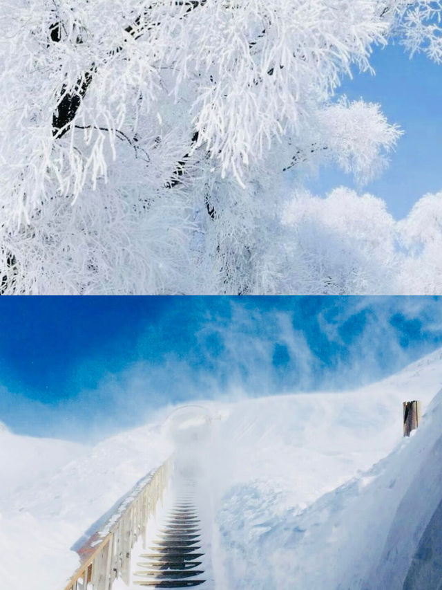 長白山保姆級旅遊攻略｜一篇搞定吃住行玩，收藏不迷路