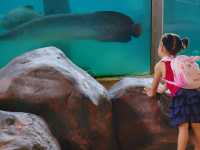 帶小朋友去動物園就啱晒！！！
