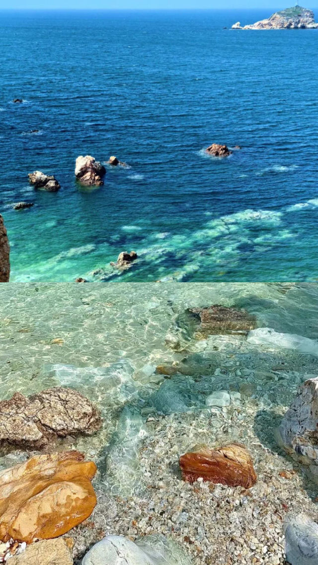 養馬島已回我只想講啲大實話……