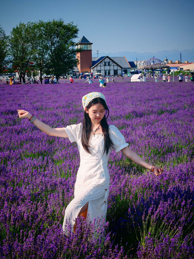 伊帕爾汗薰衣草觀光園旅遊攻略
