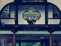 杭州植物園で春を満喫！61（ロクイチ）の特別な自然体験ガイド​