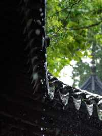 你是七月湖上的雨，也是江南的驚鴻客。